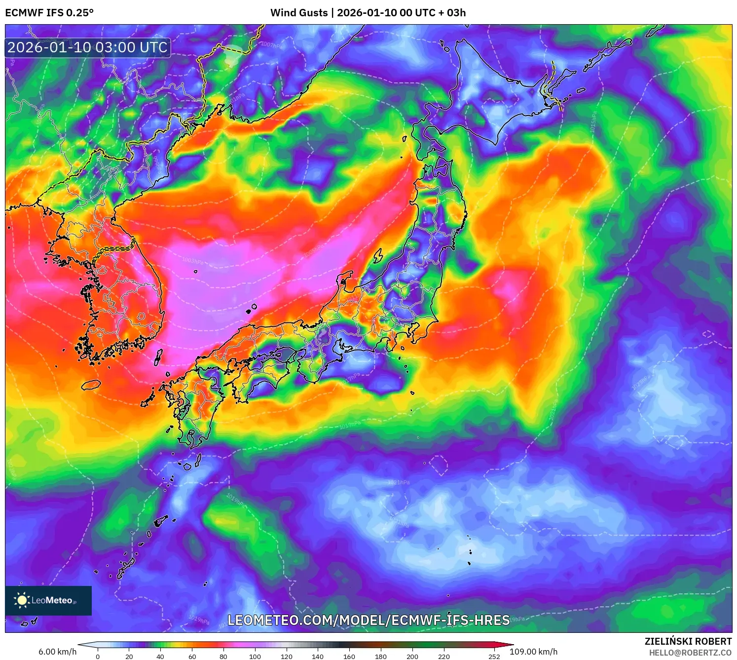 ECMWF IFS 0.25° model - Japan, Wind Gusts