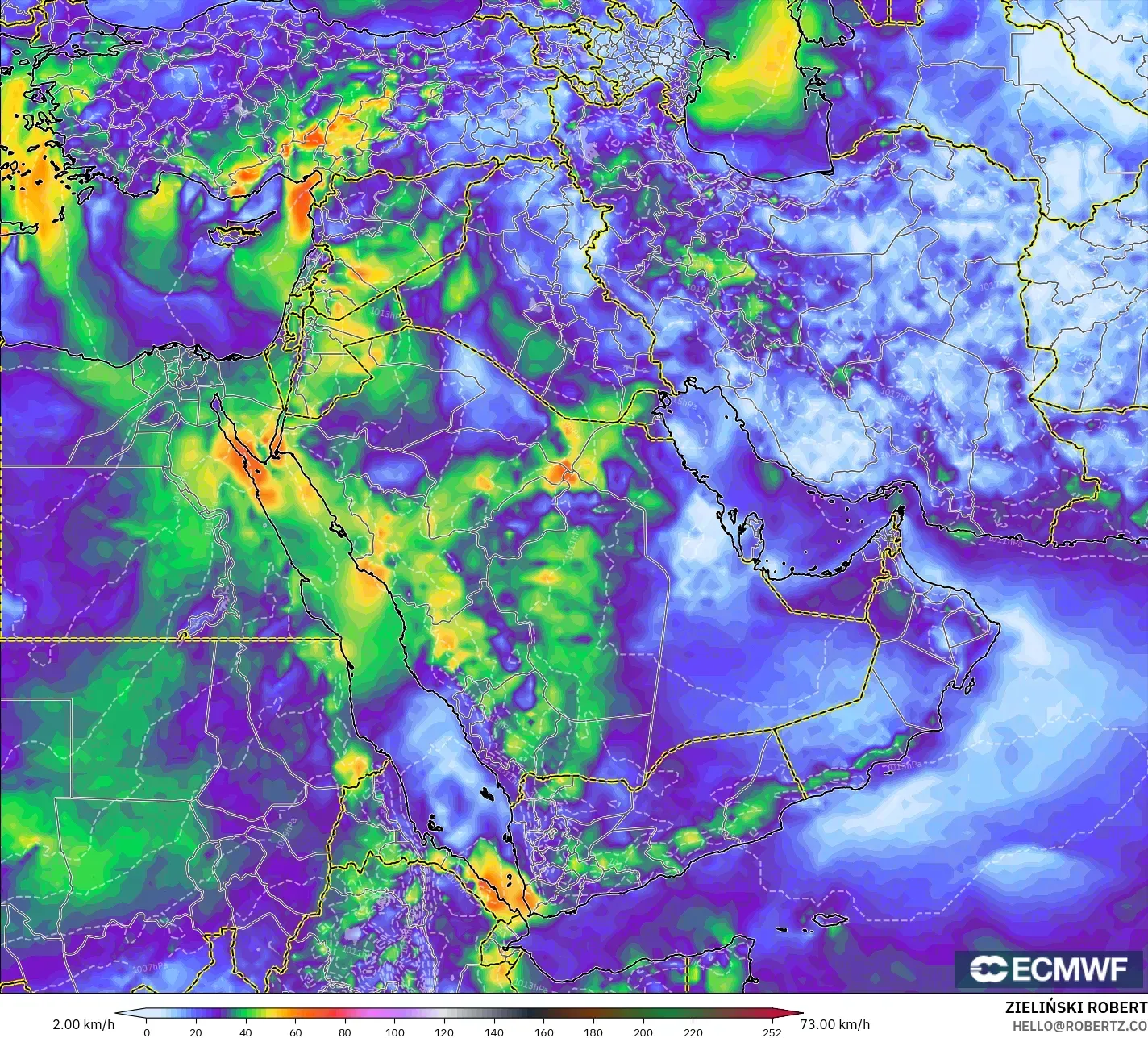 ECMWF IFS 0.25° model - Middle East, Wind Gusts Peak