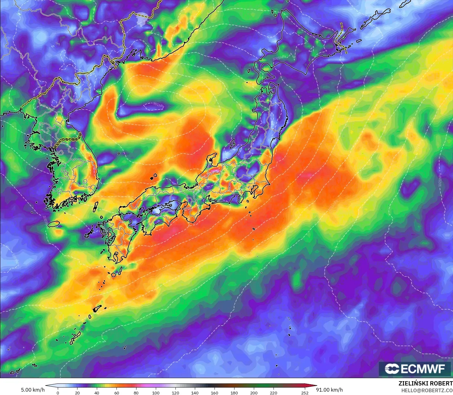ECMWF IFS 0.25° model - Japan, Wind Gusts