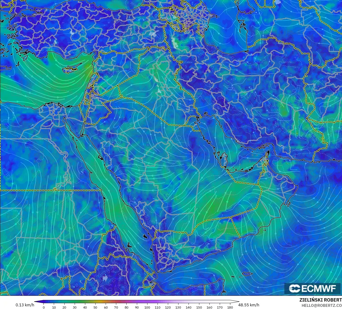 ECMWF IFS 0.25° model - Middle East, Wind at 10m