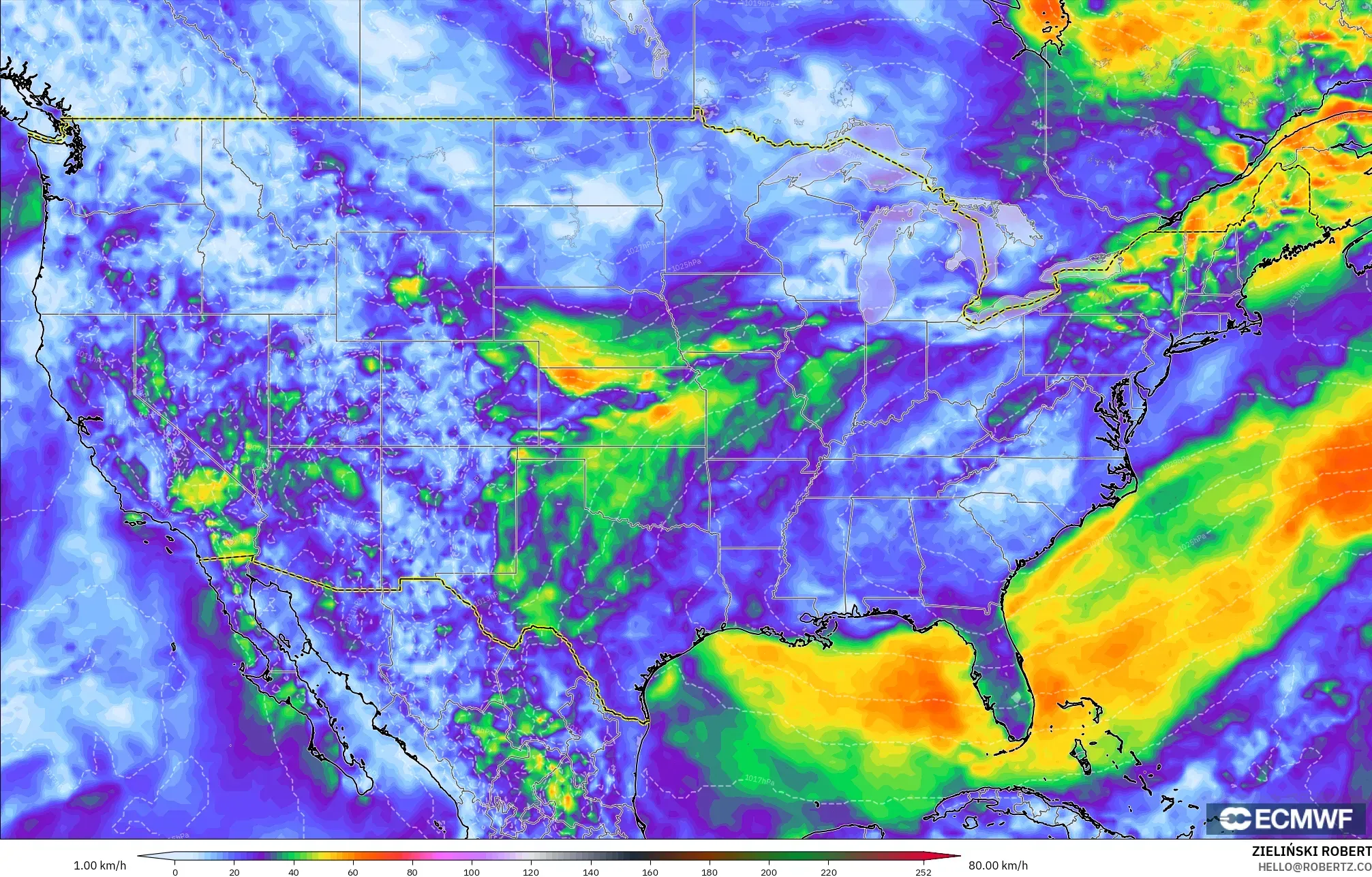 ECMWF IFS 0.25° model - United States, Wind Gusts