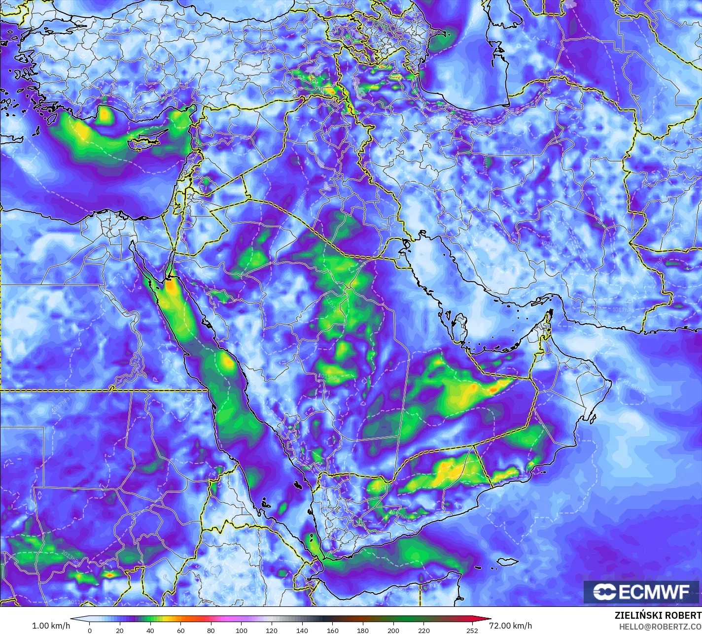 ECMWF IFS 0.25° model - Middle East, Wind Gusts Peak