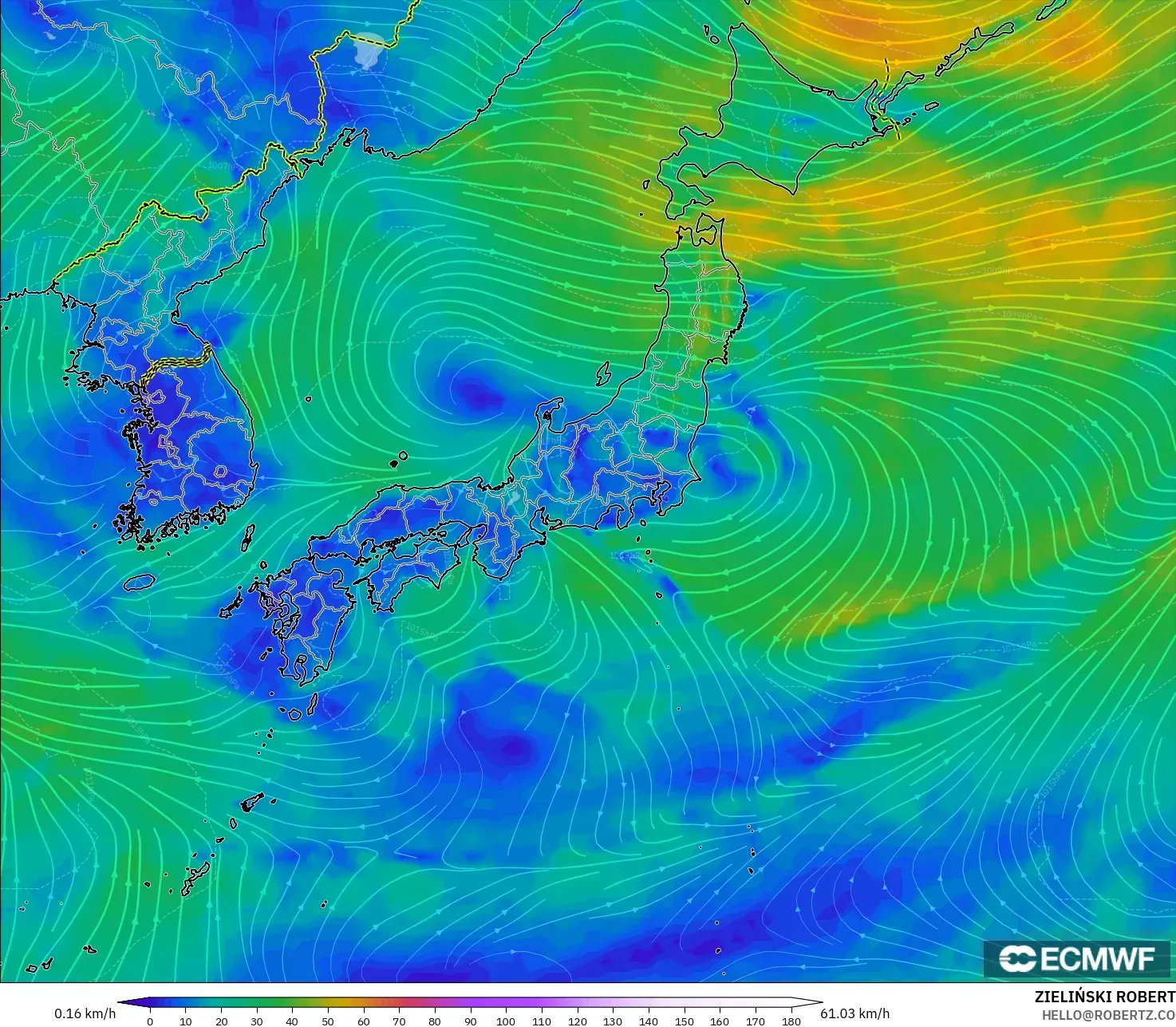 ECMWF IFS 0.25° model - Jepang, Angin 10 m
