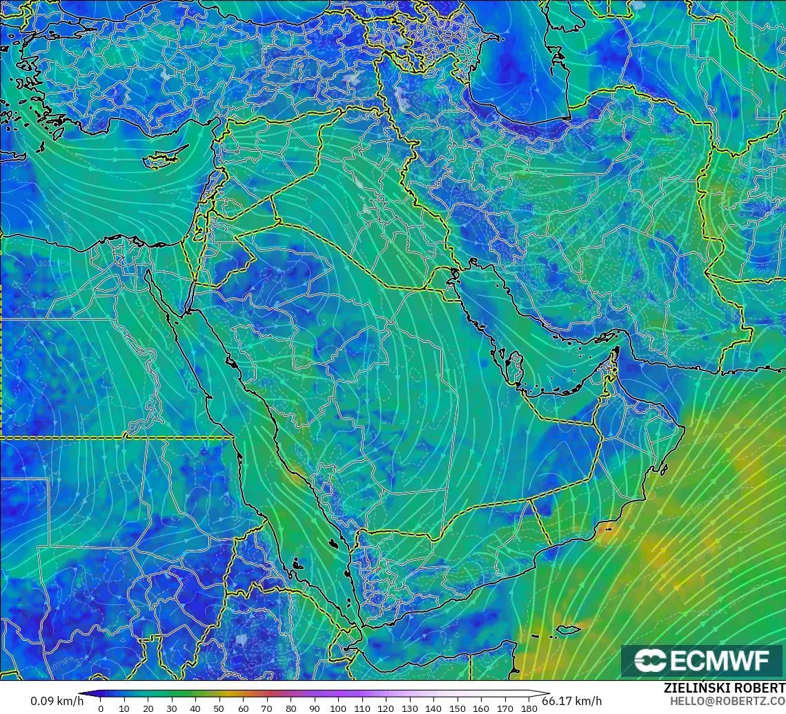 ECMWF IFS 0.25° model - Middle East, Wind at 10m