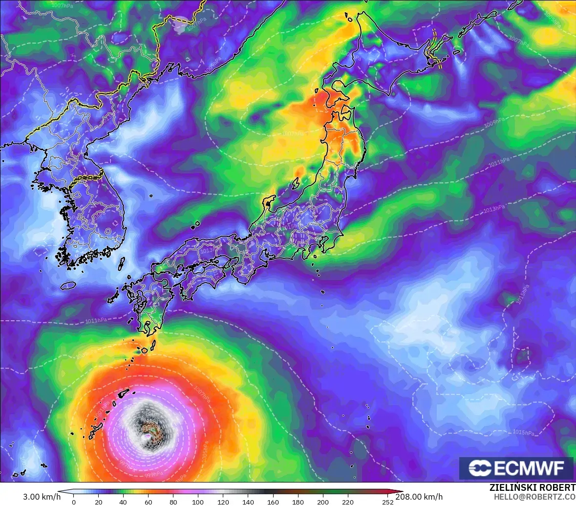 ECMWF IFS 0.25° model - Japan, Wind Gusts
