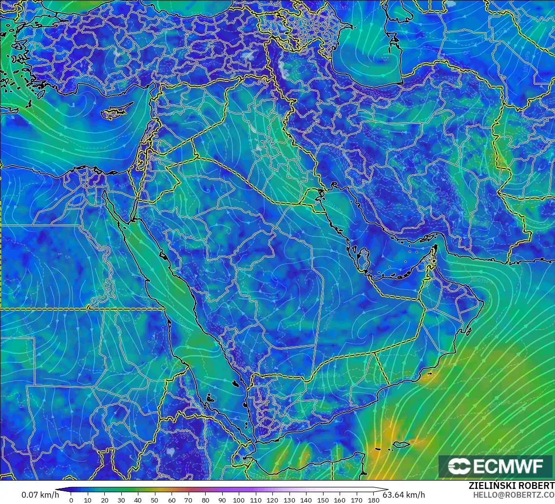 ECMWF IFS 0.25° model - Middle East, Wind at 10m